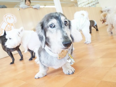 今までの思い出 【95】のサムネイル