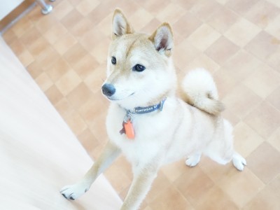 今までの思い出 【95】のサムネイル