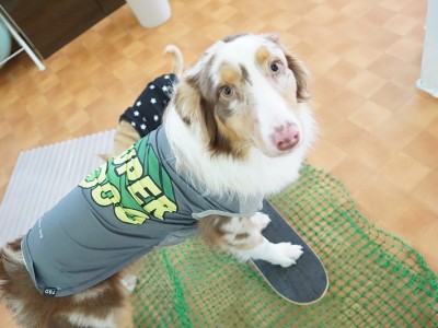 授業の様子♪ 86のサムネイル