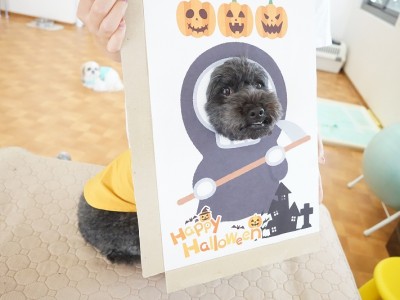 授業の様子♪ 86のサムネイル