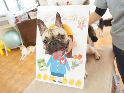 授業の様子♪ 84のサムネイル