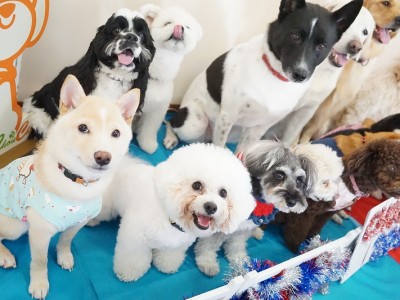 授業の様子♪ 81のサムネイル