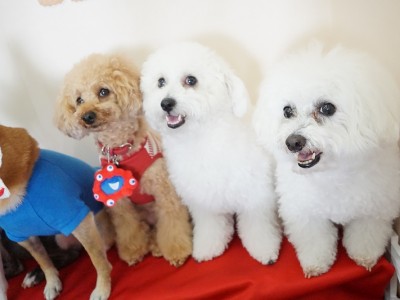 授業の様子♪ 87のサムネイル