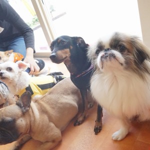 授業の様子♪ 84