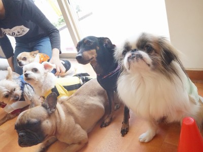 授業の様子♪ 84のサムネイル