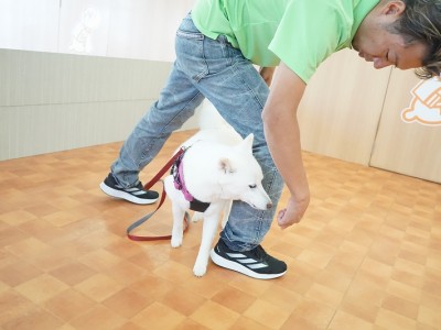 授業の様子♪ 81のサムネイル