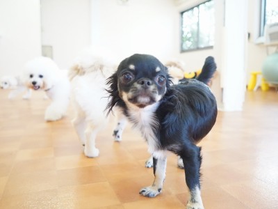 今までの思い出 【95】のサムネイル