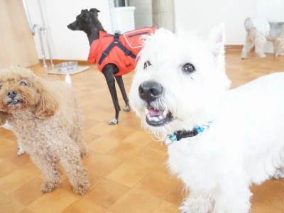 今までの思い出 【95】のサムネイル