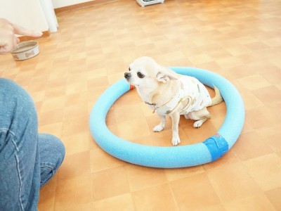 授業の様子♪ 85のサムネイル