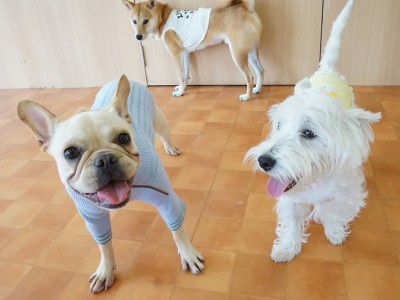 今までの思い出 【96】のサムネイル