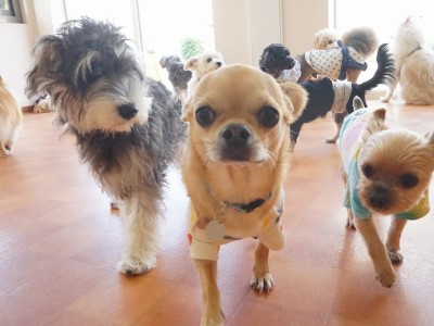 今までの思い出 【95】のサムネイル