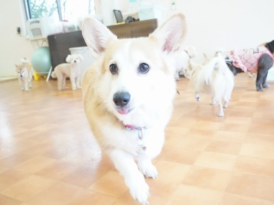 今までの思い出 【95】のサムネイル