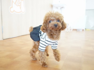 今までの思い出 【94】のサムネイル