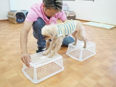 授業の様子♪ 87のサムネイル