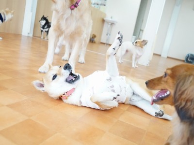 今までの思い出 【96】のサムネイル