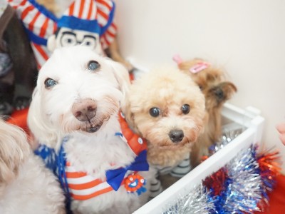 授業の様子♪ 84のサムネイル