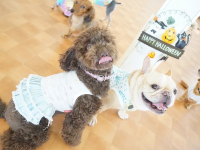 今までの思い出 【95】のサムネイル