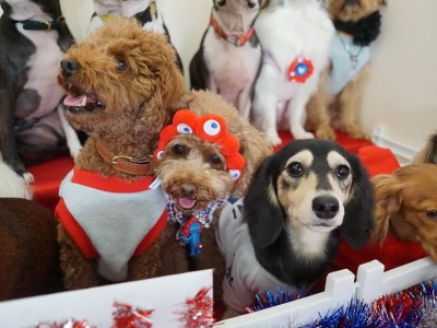 授業の様子♪ 88のサムネイル