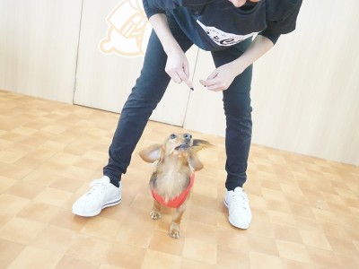 授業の様子♪ 90のサムネイル