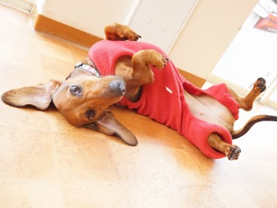 今までの思い出 【95】のサムネイル