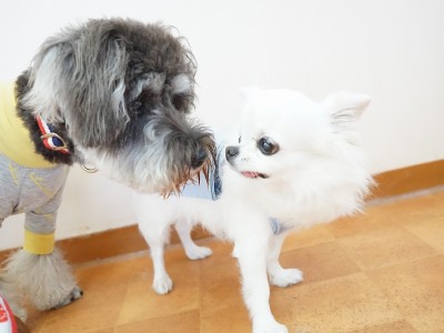 今までの思い出 【95】のサムネイル