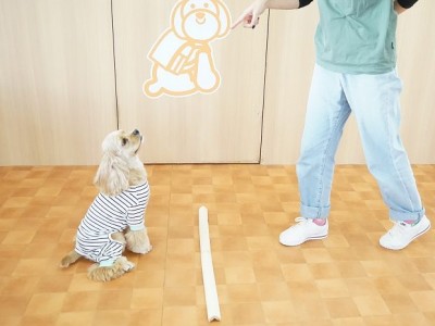 授業の様子♪ 89のサムネイル