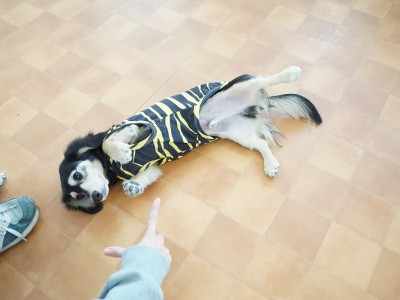 授業の様子♪ 85のサムネイル