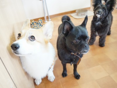 今までの思い出 【95】のサムネイル