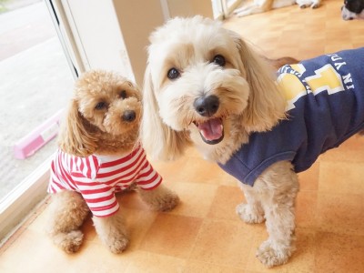 今までの思い出 【95】のサムネイル