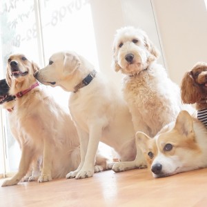 授業の様子♪ 85