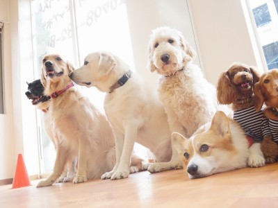 授業の様子♪ 85のサムネイル