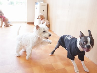 今までの思い出 【95】のサムネイル