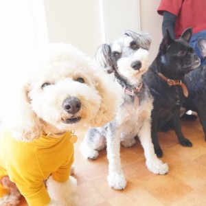 授業の様子♪ 82