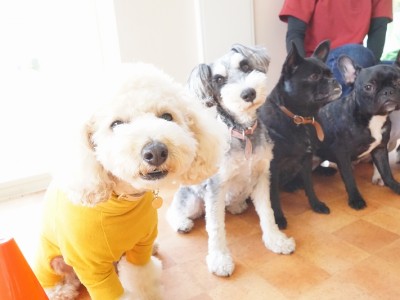 授業の様子♪ 82のサムネイル