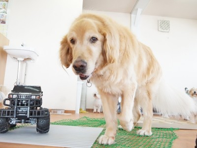 授業の様子♪ 87のサムネイル