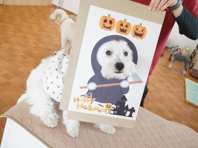 授業の様子♪ 88のサムネイル