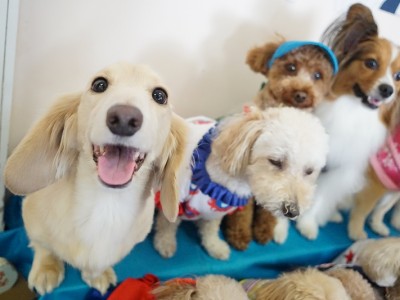 授業の様子♪ 86のサムネイル