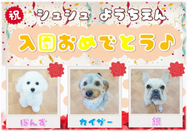 幼稚園新入生のお知らせ ~Vol.101~