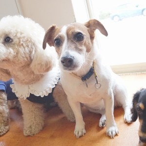 授業の様子♪ 83