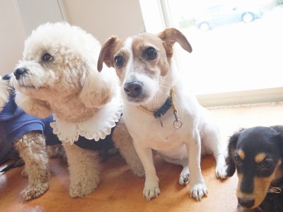 授業の様子♪ 83のサムネイル