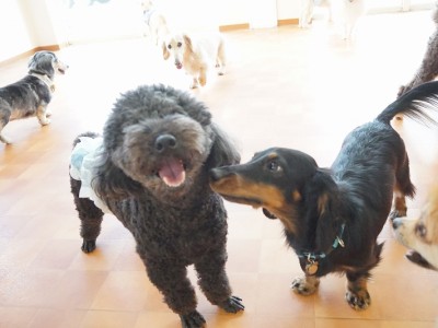 今までの思い出 【95】のサムネイル