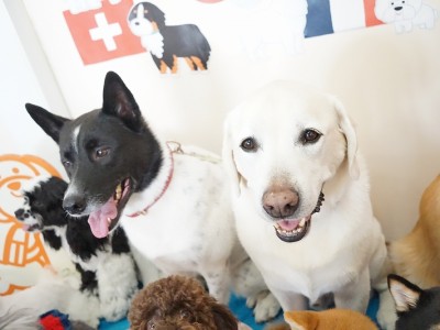 授業の様子♪ 90のサムネイル