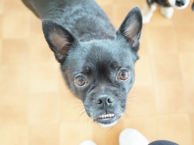 今までの思い出 【96】のサムネイル