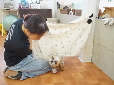 授業の様子♪ 82のサムネイル