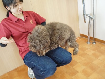 授業の様子♪ 88のサムネイル