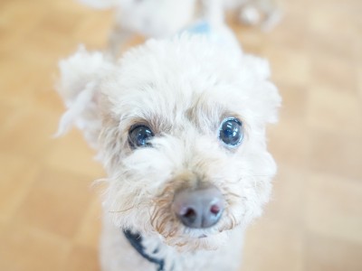 今までの思い出 【95】のサムネイル