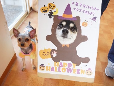 授業の様子♪ 89のサムネイル