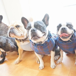 授業の様子♪ 89