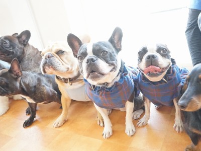 授業の様子♪ 89のサムネイル