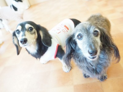 今までの思い出 【94】のサムネイル